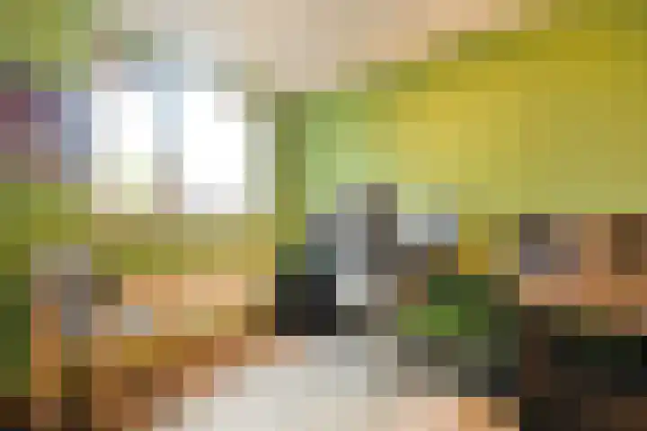 Ministerlaan 141 Zwolle thumbnail 13