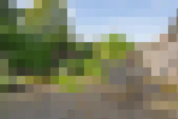 Ministerlaan 141 Zwolle thumbnail 24