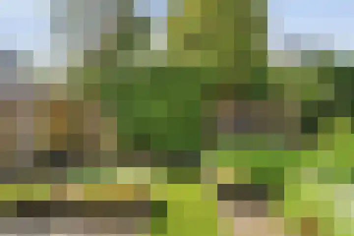 Ministerlaan 141 Zwolle thumbnail 27