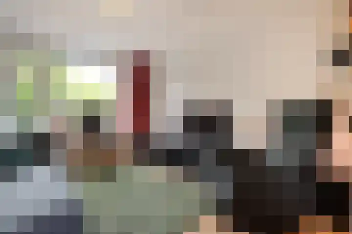 Ministerlaan 141 Zwolle thumbnail 5