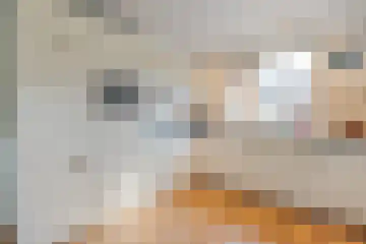 Ministerlaan 141 Zwolle thumbnail 9
