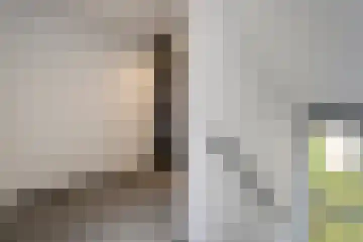 Ministerlaan 146 Zwolle thumbnail 14