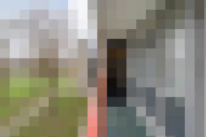Ministerlaan 146 Zwolle thumbnail 17