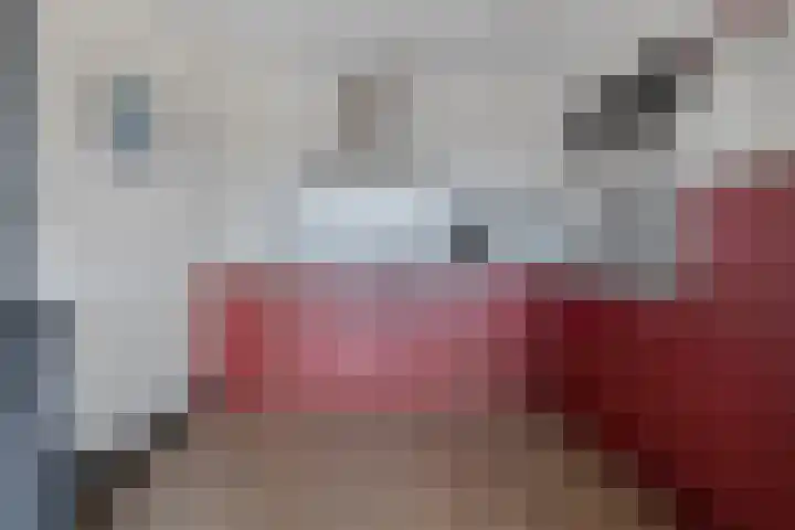 Ministerlaan 146 Zwolle thumbnail 29