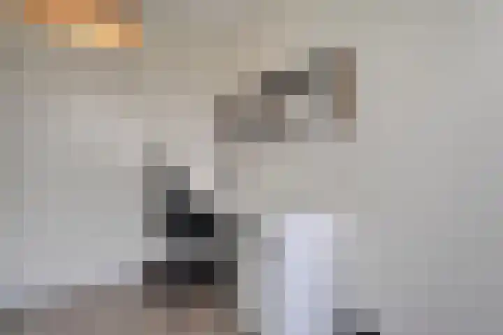 Ministerlaan 146 Zwolle thumbnail 35