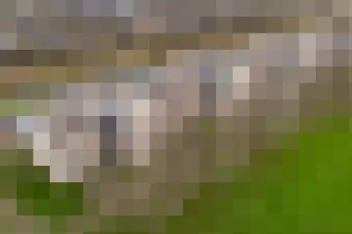Ministerlaan 146 Zwolle thumbnail 4