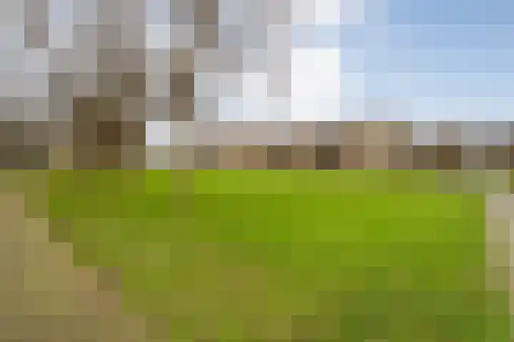 Ministerlaan 146 Zwolle thumbnail 44