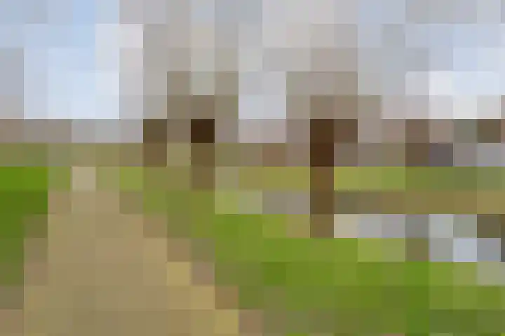 Ministerlaan 146 Zwolle thumbnail 46