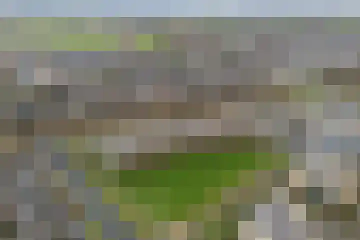 Ministerlaan 146 Zwolle thumbnail 6