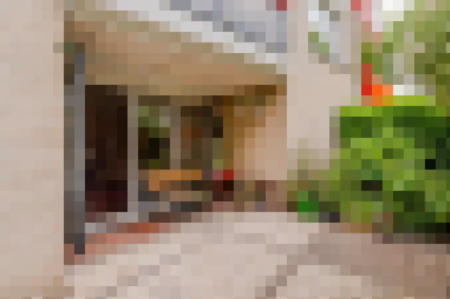 Ministerlaan 160 Zwolle thumbnail 16