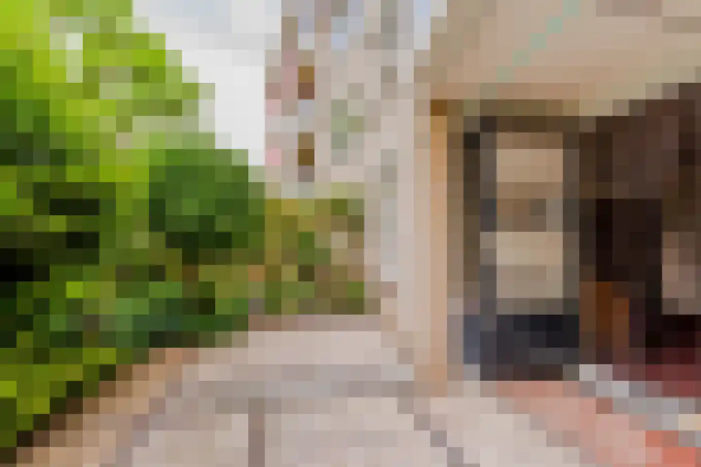 Ministerlaan 160 Zwolle thumbnail 17