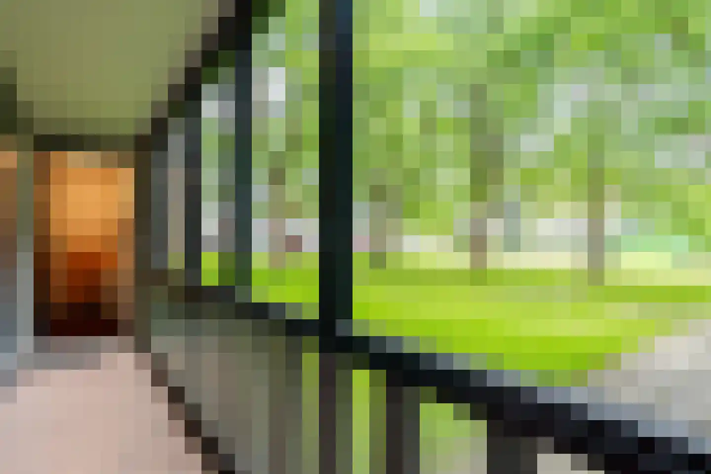 Ministerlaan 160 Zwolle thumbnail 34