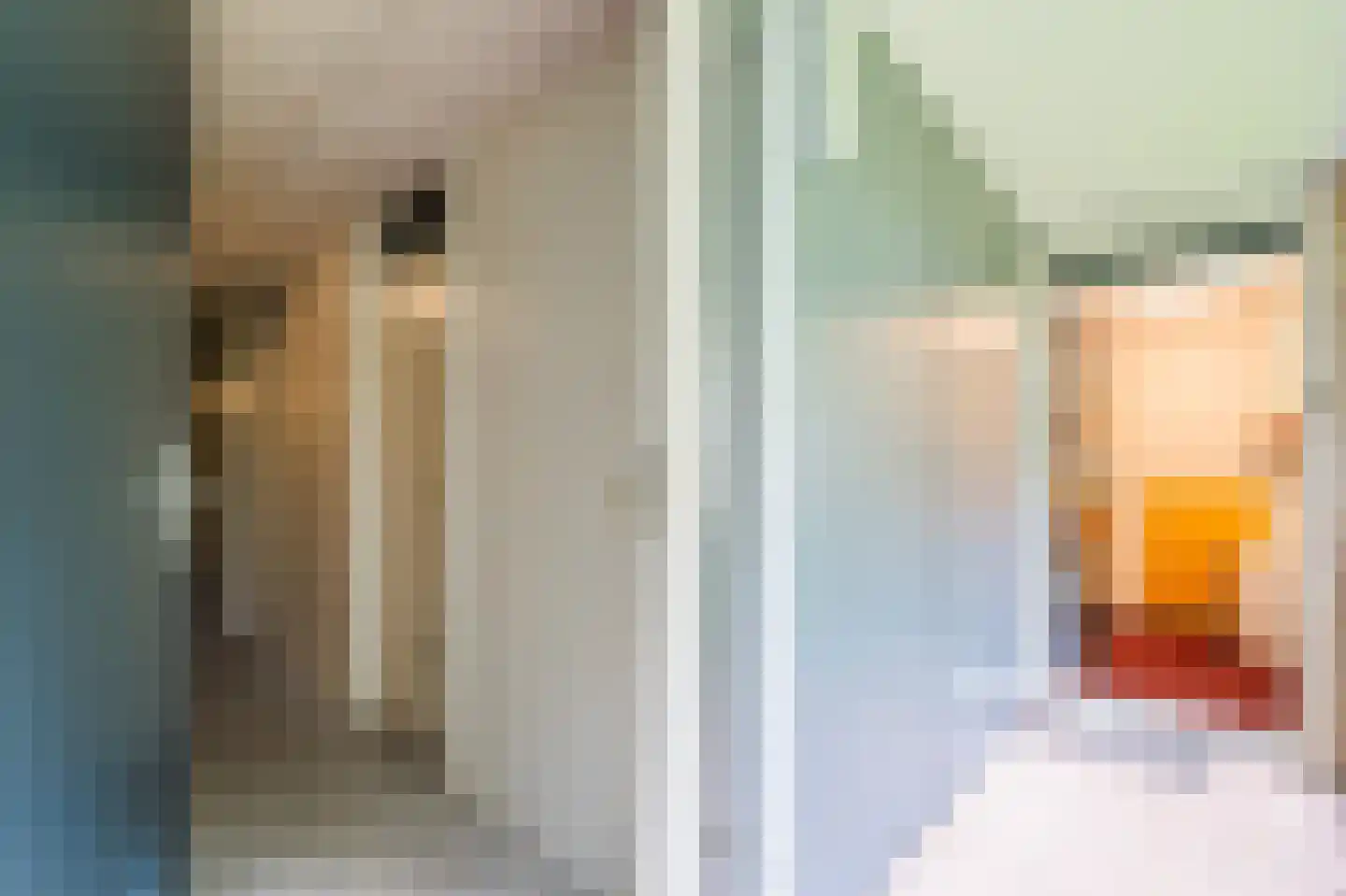 Ministerlaan 160 Zwolle thumbnail 35