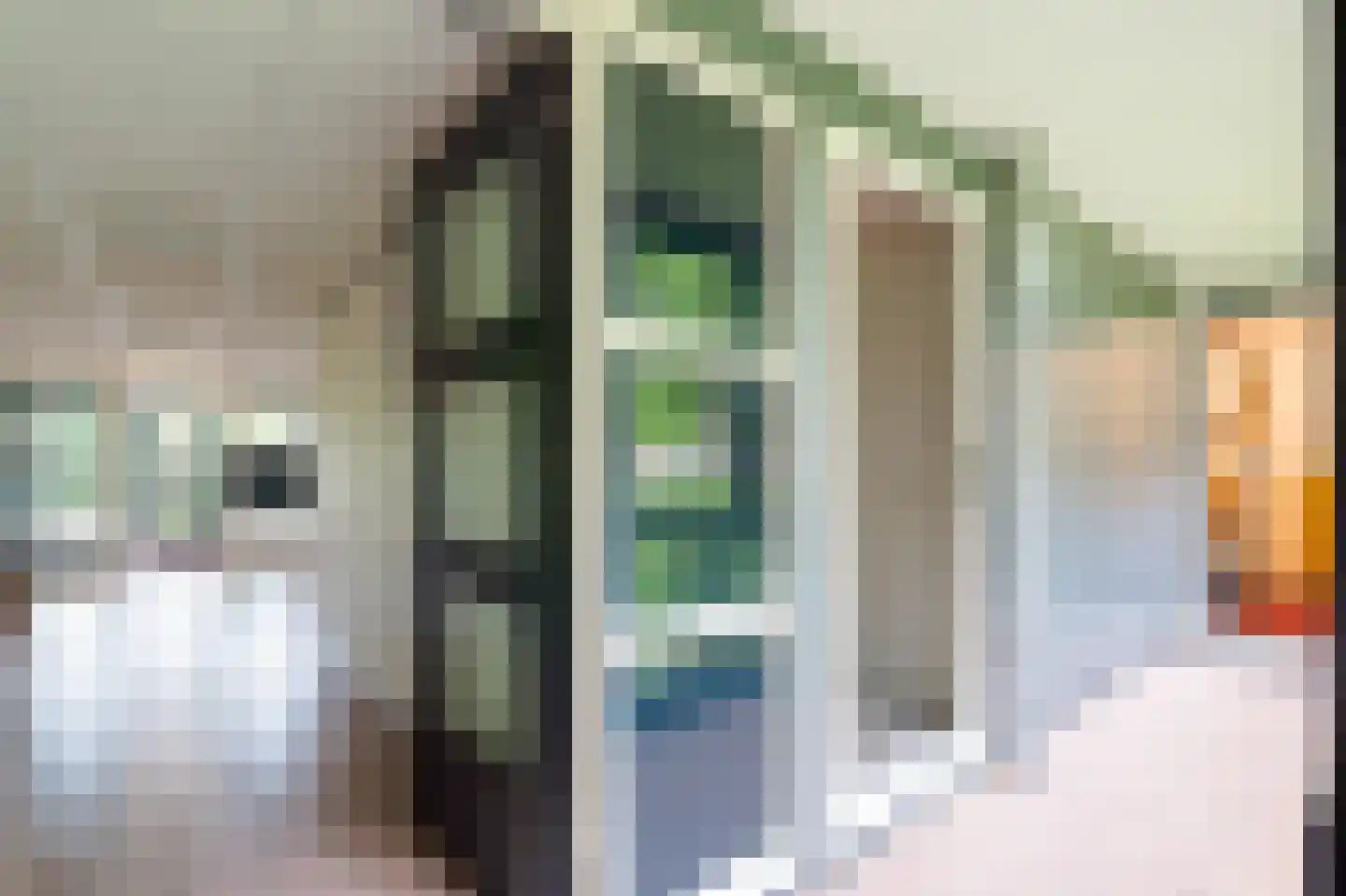 Ministerlaan 160 Zwolle thumbnail 36