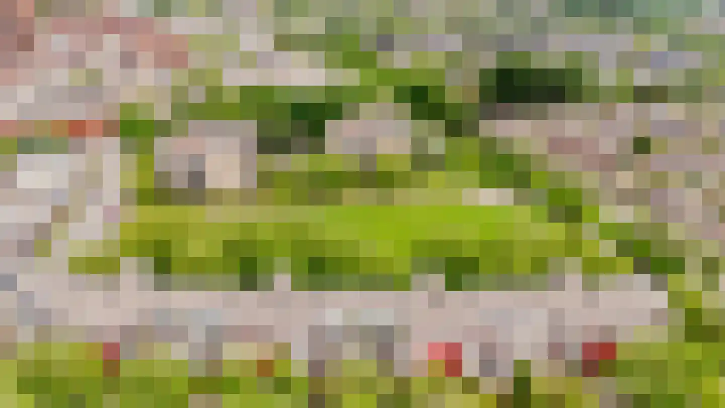 Ministerlaan 160 Zwolle thumbnail 43