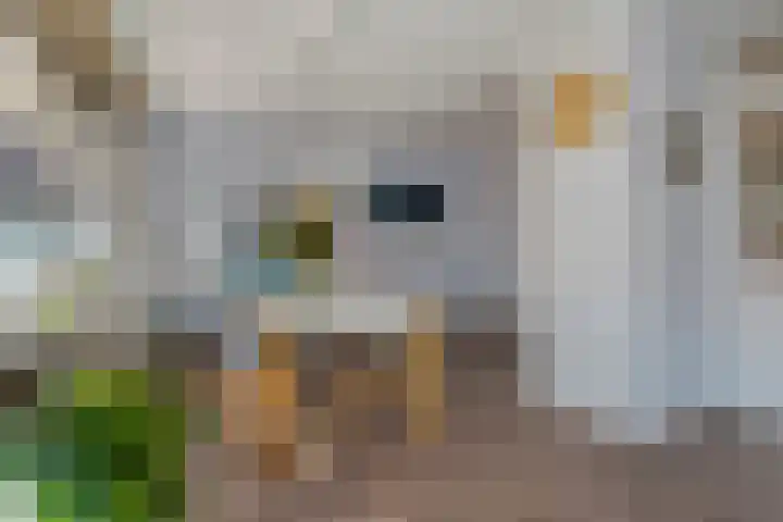Ministerlaan 172 Zwolle thumbnail 10