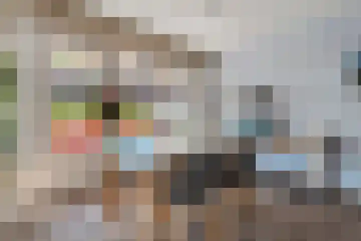 Ministerlaan 172 Zwolle thumbnail 11