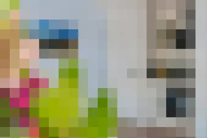 Ministerlaan 172 Zwolle thumbnail 12