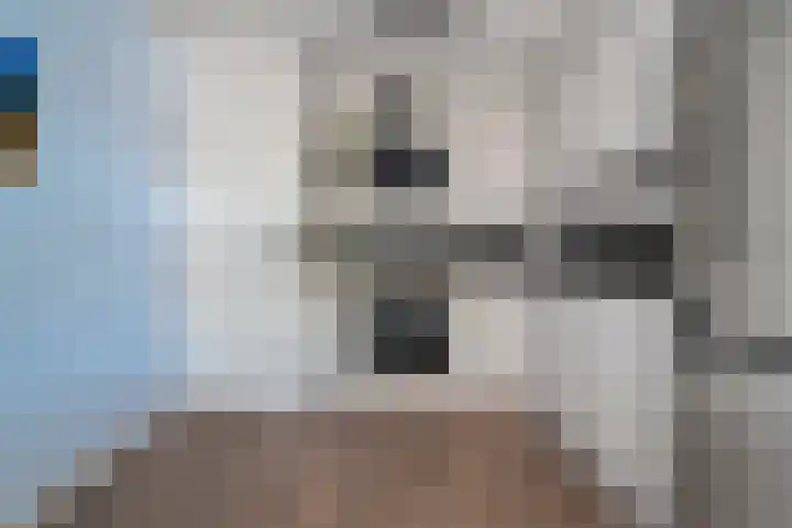 Ministerlaan 172 Zwolle thumbnail 14
