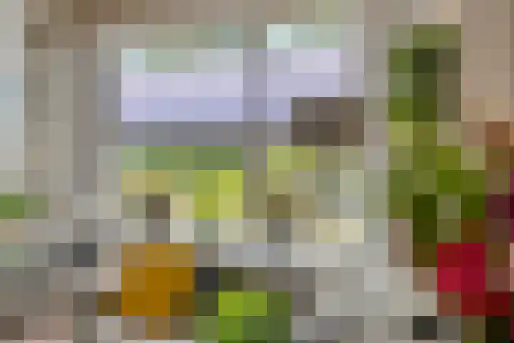 Ministerlaan 172 Zwolle thumbnail 17