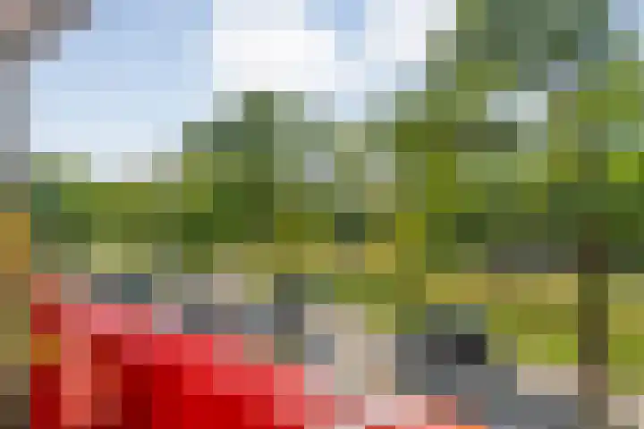 Ministerlaan 172 Zwolle thumbnail 19