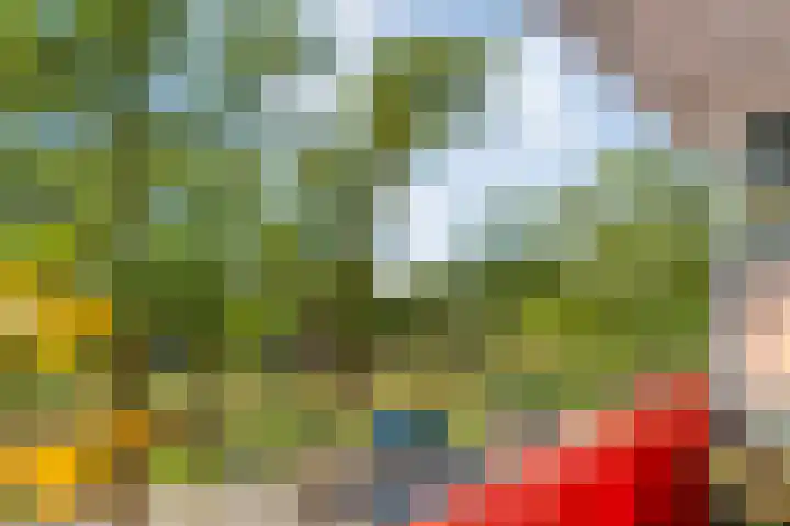 Ministerlaan 172 Zwolle thumbnail 20