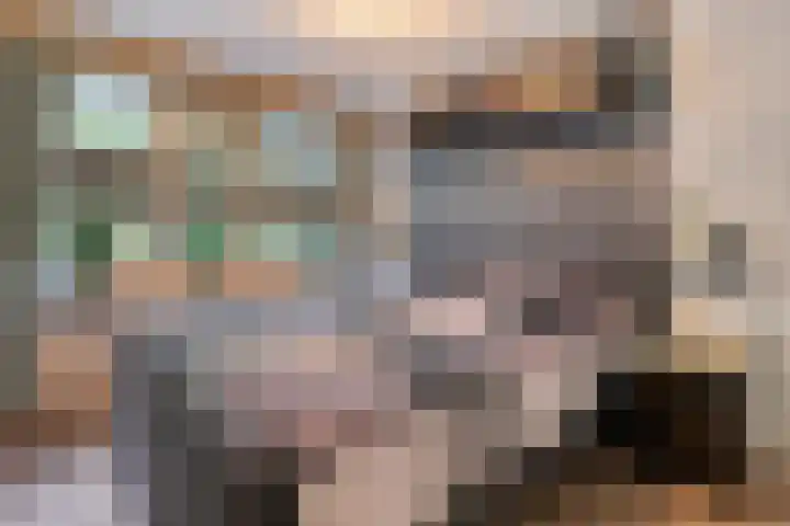 Ministerlaan 172 Zwolle thumbnail 21