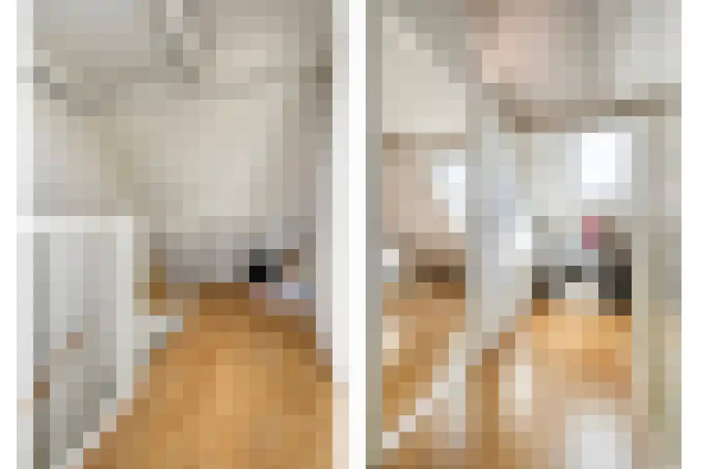 Ministerlaan 177 Zwolle thumbnail 20