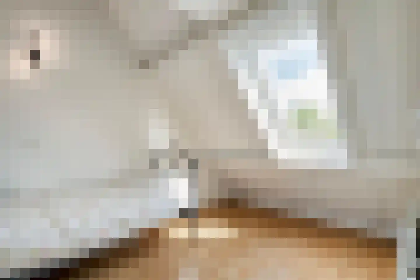 Ministerlaan 177 Zwolle thumbnail 21