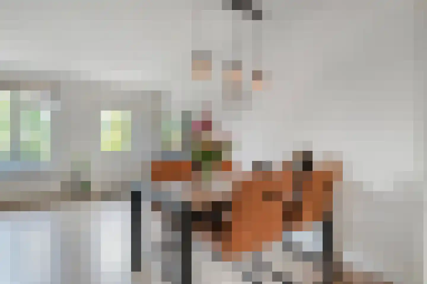 Ministerlaan 177 Zwolle thumbnail 9