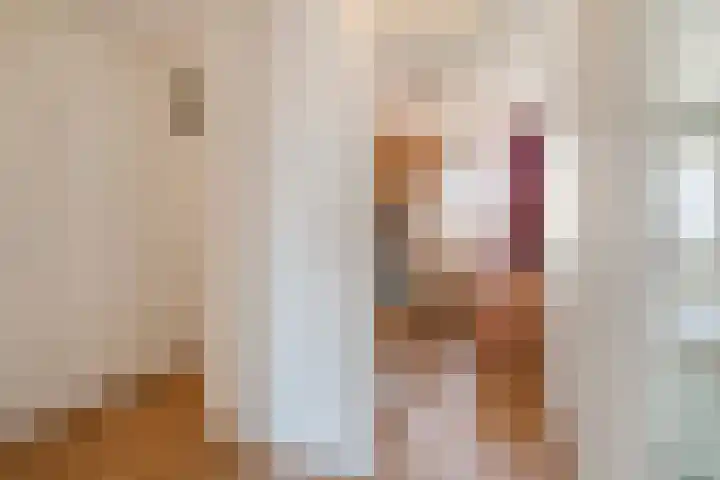Ministerlaan 188 Zwolle thumbnail 10