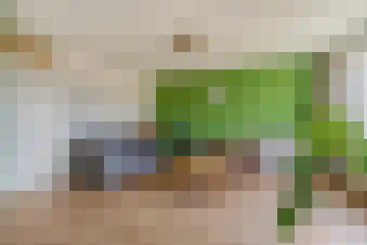 Ministerlaan 188 Zwolle thumbnail 11