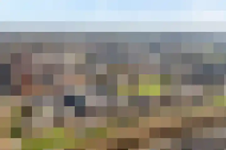 Ministerlaan 188 Zwolle thumbnail 27