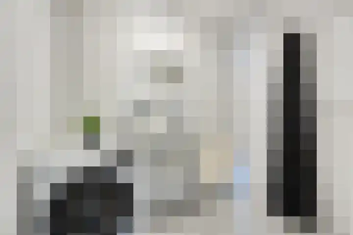 Ministerlaan 228 Zwolle thumbnail 30