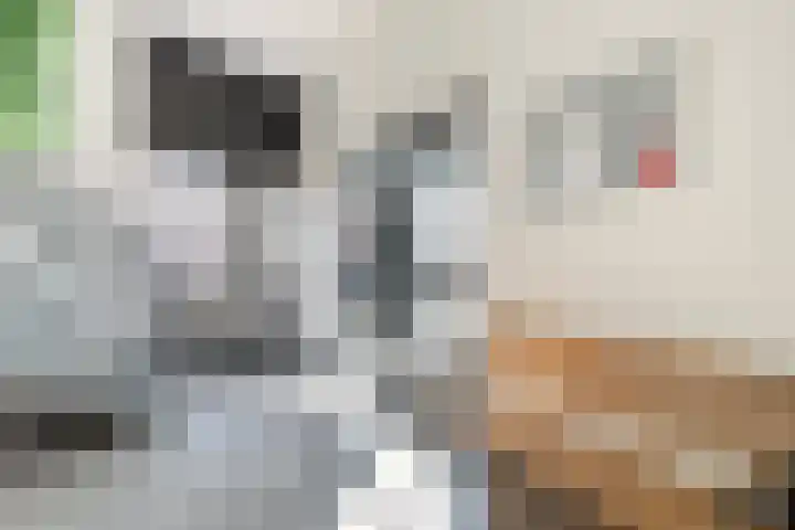 Ministerlaan 228 Zwolle thumbnail 8