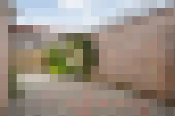 Ministerlaan 32 Zwolle thumbnail 29