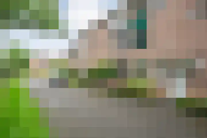 Ministerlaan 32 Zwolle thumbnail 31