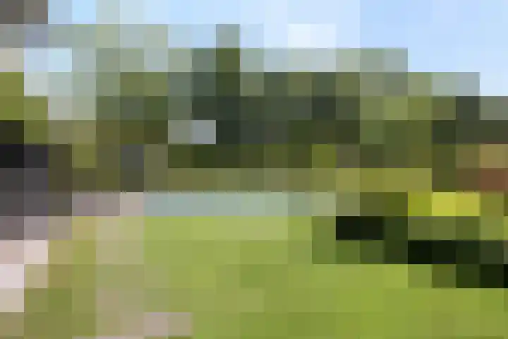 Ministerlaan 44 Eindhoven thumbnail 10