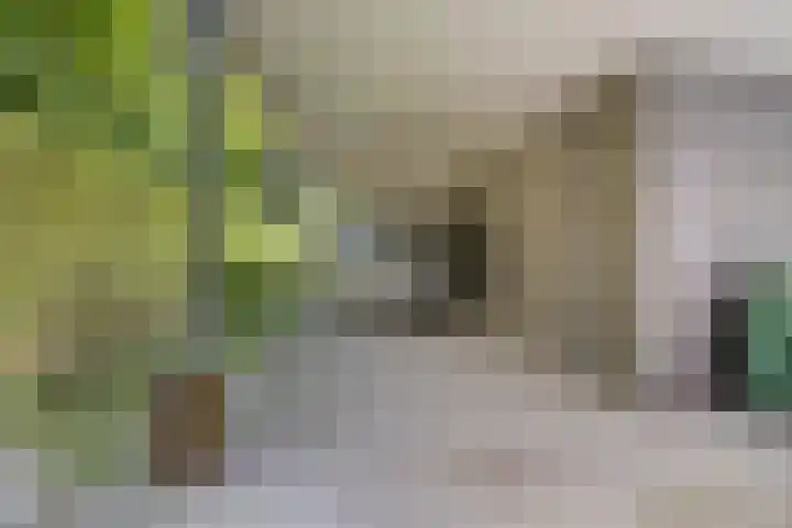 Ministerlaan 44 Eindhoven thumbnail 14