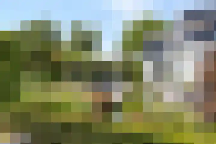 Ministerlaan 44 Eindhoven thumbnail 17