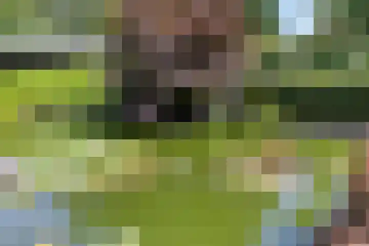 Ministerlaan 44 Eindhoven thumbnail 18