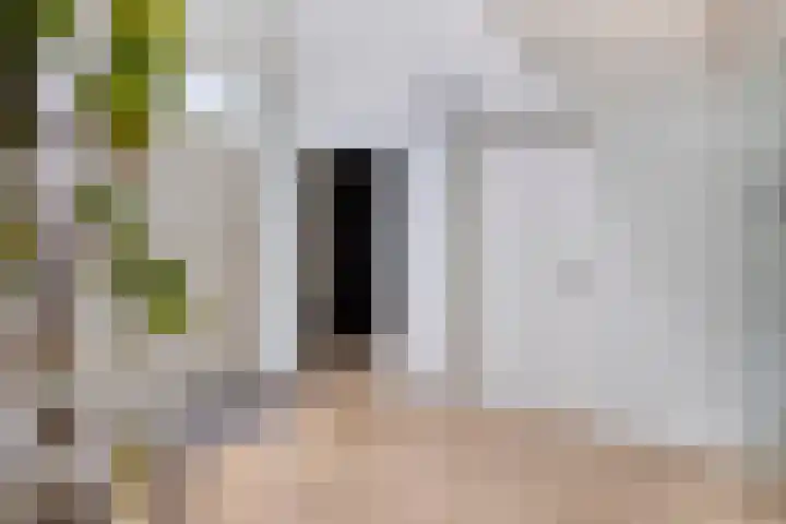 Ministerlaan 44 Eindhoven thumbnail 20