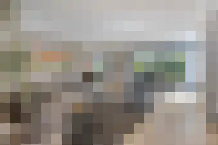 Ministerlaan 44 Eindhoven thumbnail 25