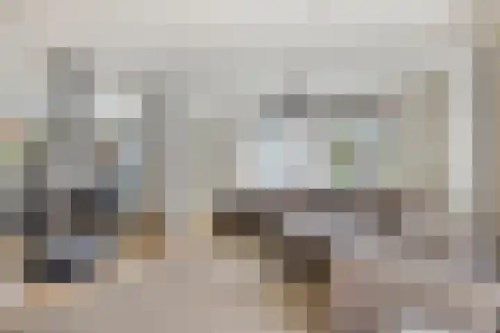 Ministerlaan 44 Eindhoven thumbnail 27