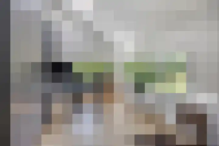 Ministerlaan 44 Eindhoven thumbnail 29