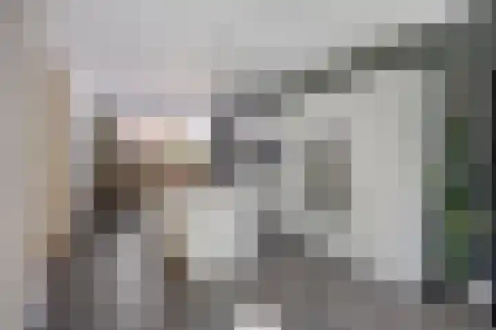 Ministerlaan 44 Eindhoven thumbnail 32