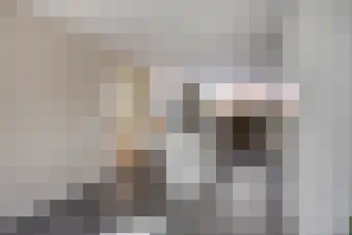 Ministerlaan 44 Eindhoven thumbnail 34