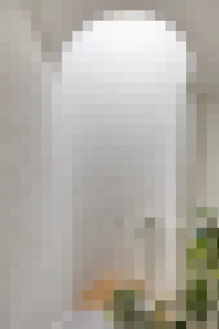 Ministerlaan 44 Eindhoven thumbnail 39