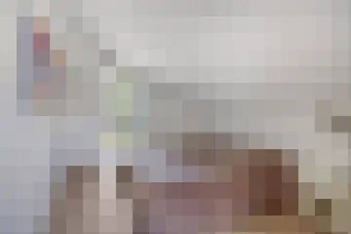 Ministerlaan 44 Eindhoven thumbnail 53