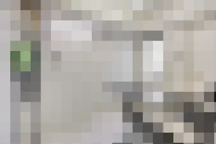 Ministerlaan 44 Eindhoven thumbnail 69